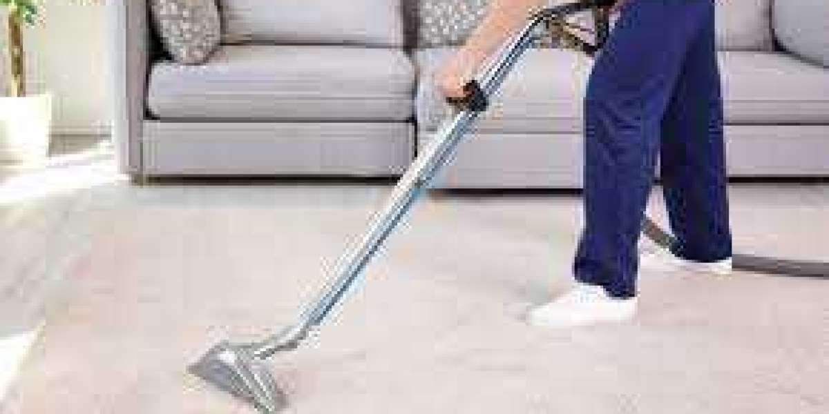 The Power of Professional Carpet Cleaning Services