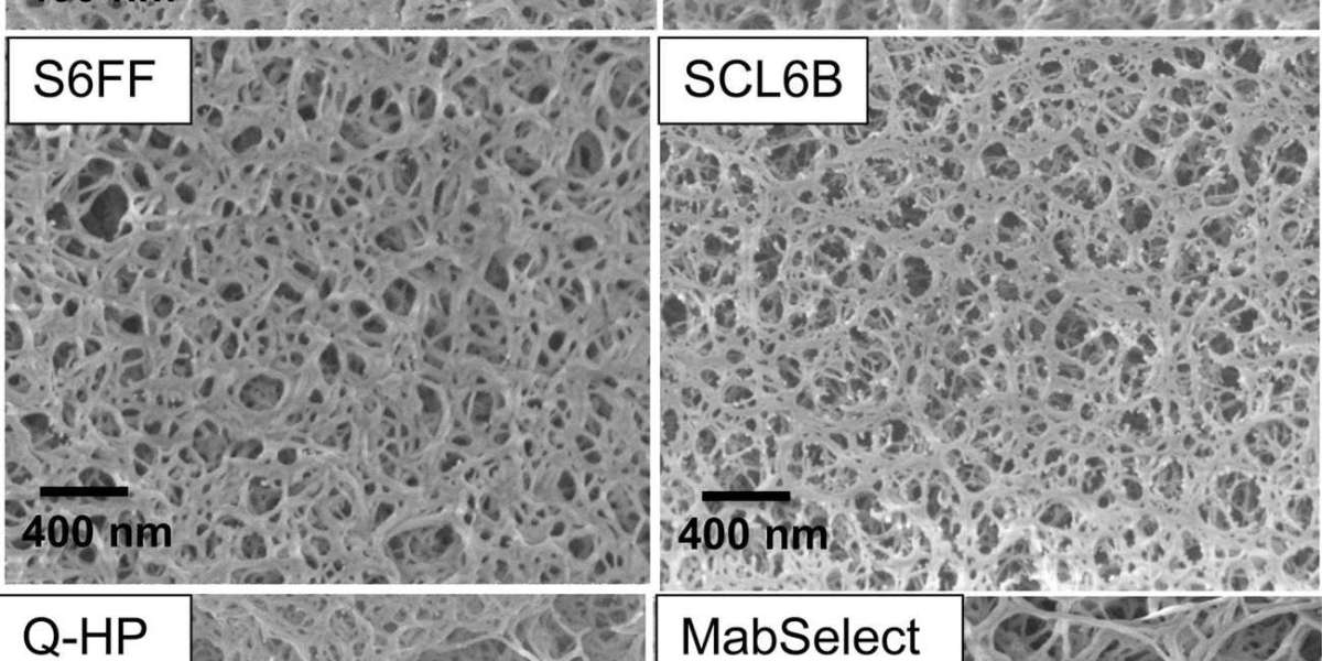 Agarose Particles for Purification of Proteins and Antibodies