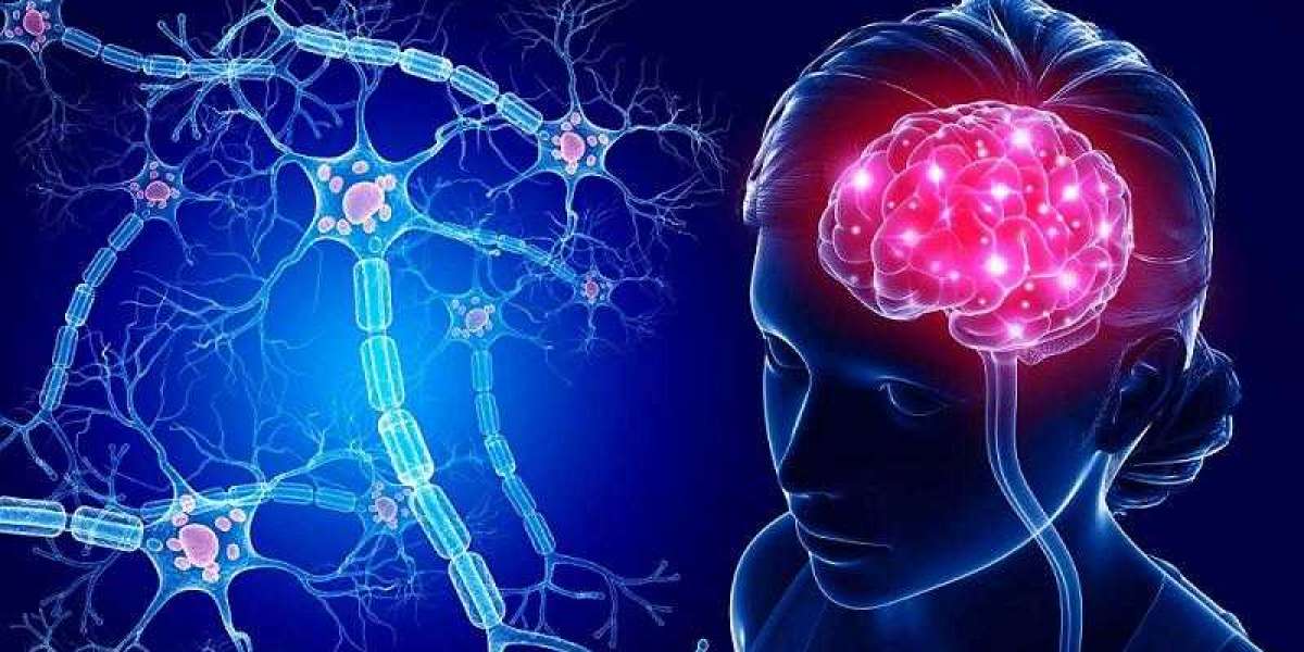 Global Brain Cancer Market Size, Growth, Trends & Demand 2031