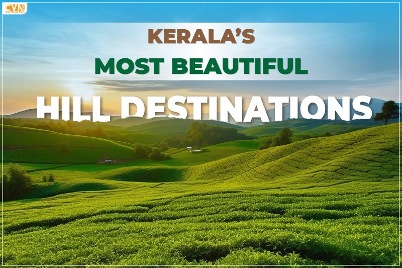 Explore 5 Best Hill Stations in Kerala for Breathtaking Views