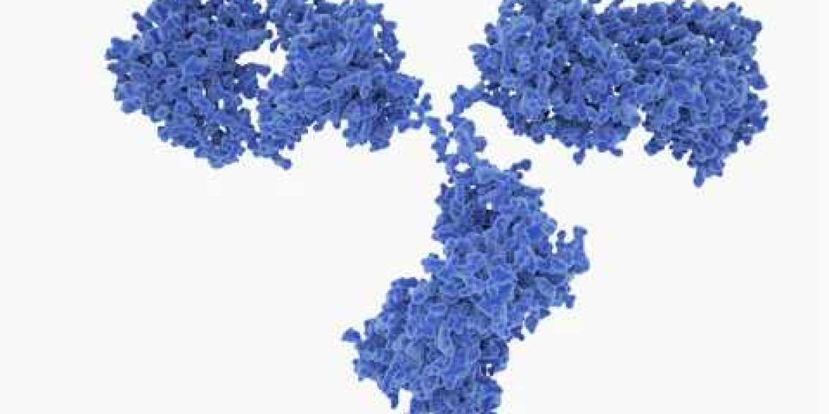 High-Affinity Anti-Adenovirus Monoclonal Antibodies for Research and Assay Development