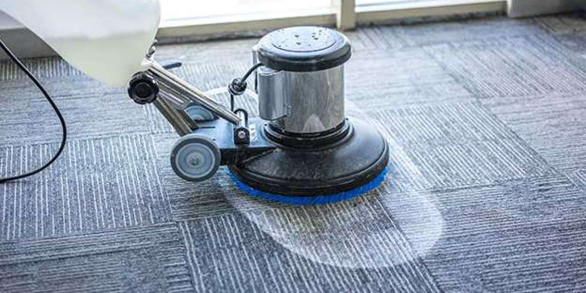 The Clean Carpet Authority: Top Services for Immaculate Homes