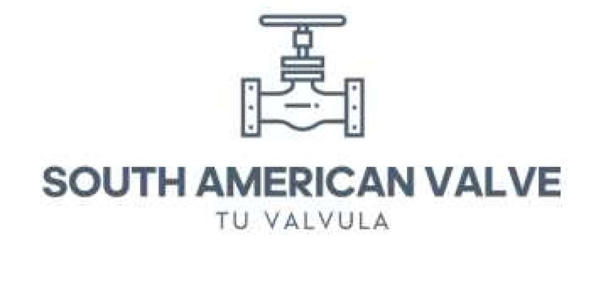 Bi Directional Knife Gate Valve Suppliers in Brazil