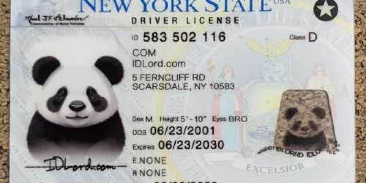 Unlock Your New Identity The Ultimate Guide to New York Fake IDs