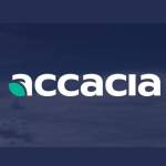 accacia