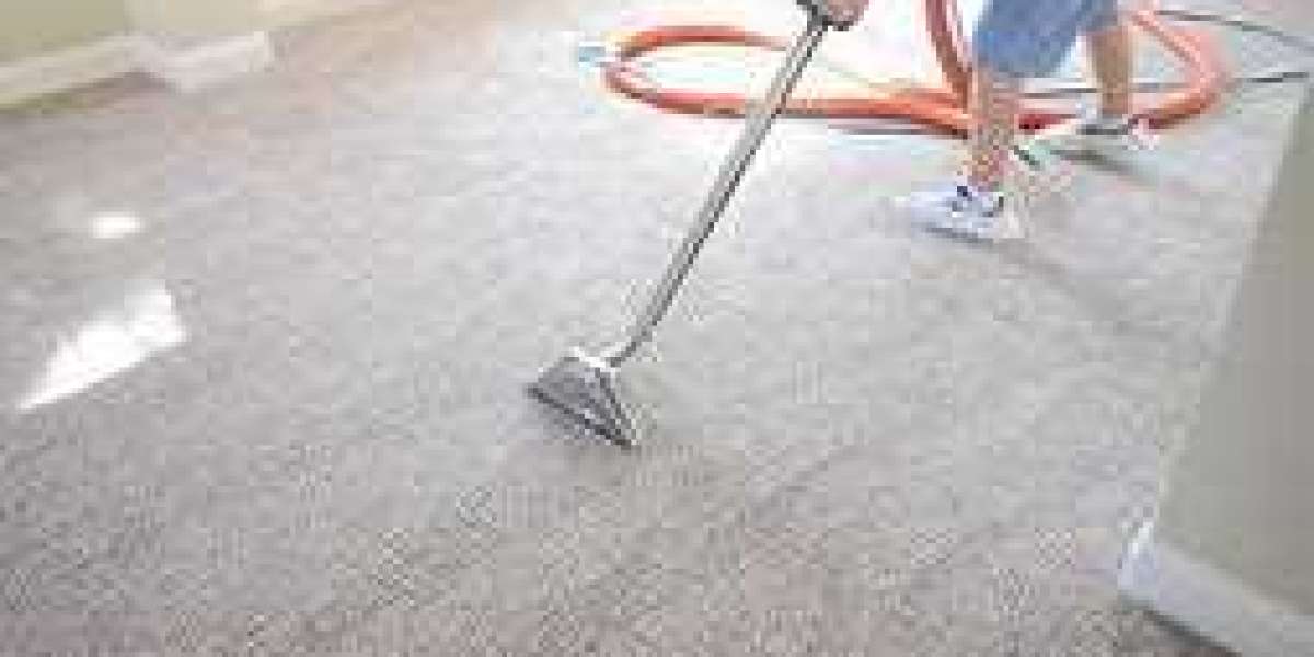 Why Every Pet Owner Needs Professional Carpet Cleaning Services