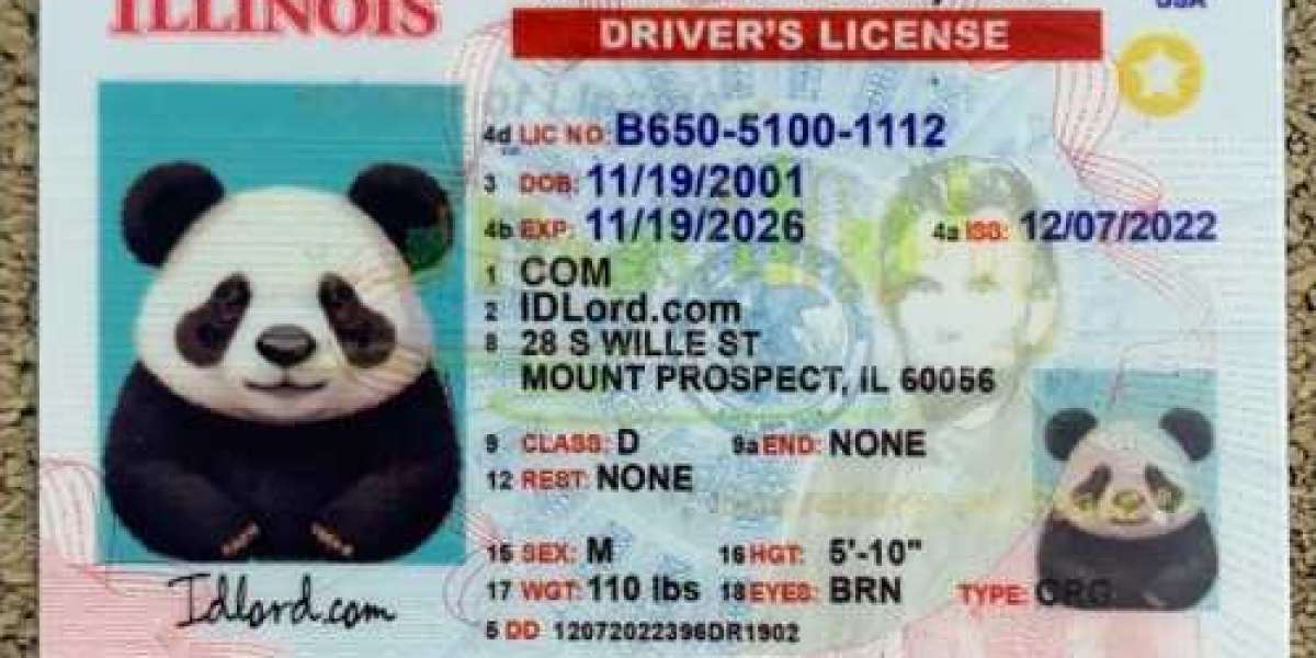 Unlock the Secrets of Illinois Identification Discover the Unmatched Advantages of Fake vs. Real IDs