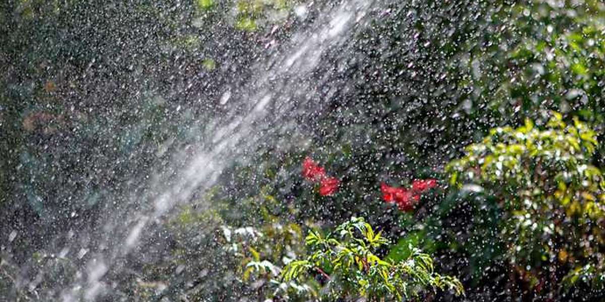 Evergreen Sprinkler and Landscaping Services