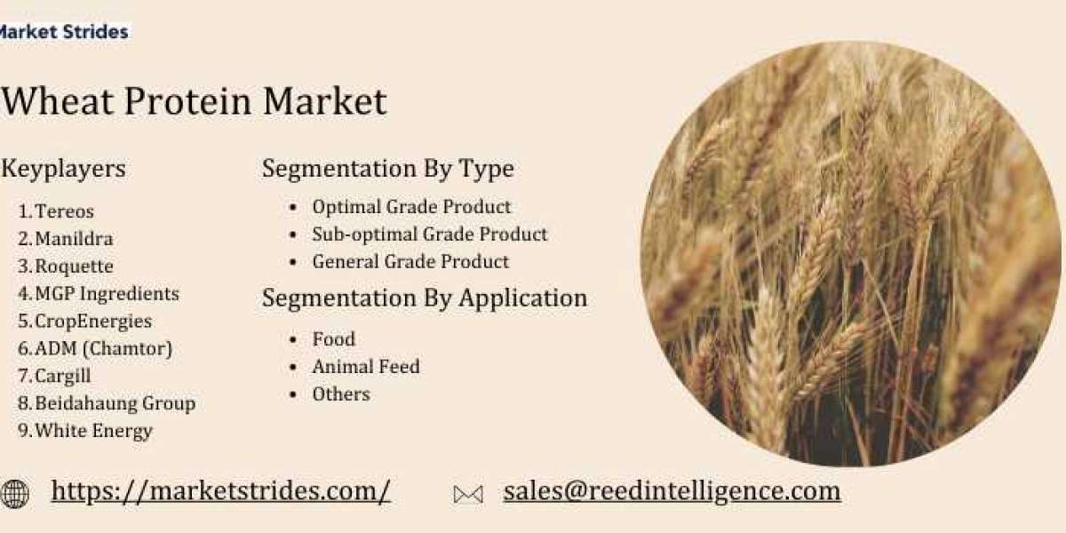 Wheat Protein Market Overview, Size, Share, Trend and Forecast to 2033 | Market Strides