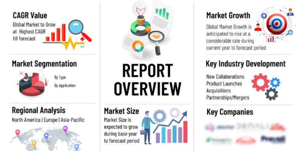 Alopecia Areata Market Insights: Emerging Trends and Future Growth Potential