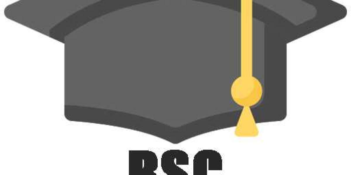 The Academic Power of a BSc Degree Unveiled