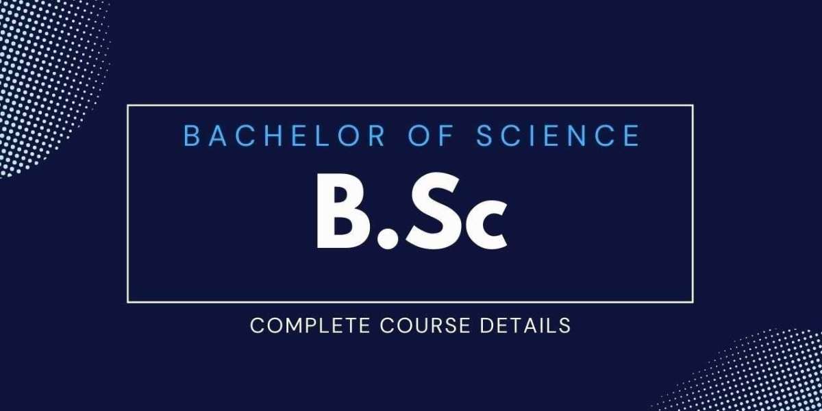 How to Balance Studies and Fun During Your BSc Journey