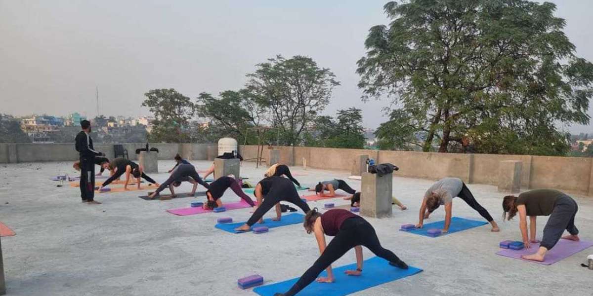 Yoga School in India—Alakhyog: Transforming Lives Through Yoga and Wellness