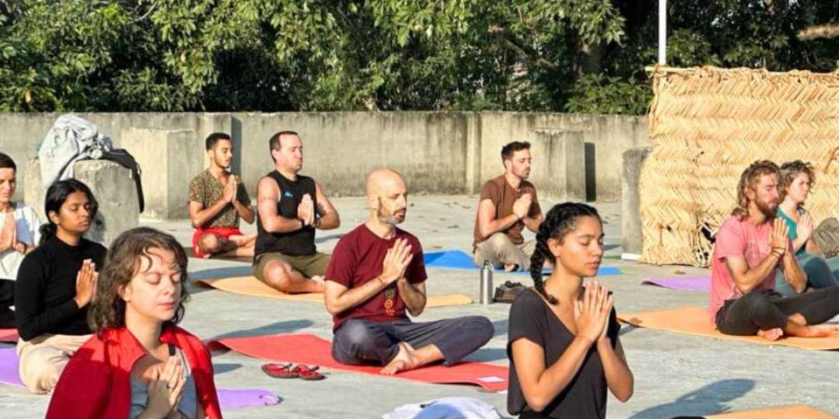 Hatha Yoga School in India: Transform Your Practice