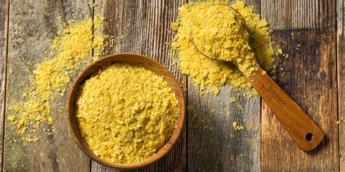 Cheese Powder Market Insights: Size, Share, Trends, and Forecast Analysis (2024-2032)