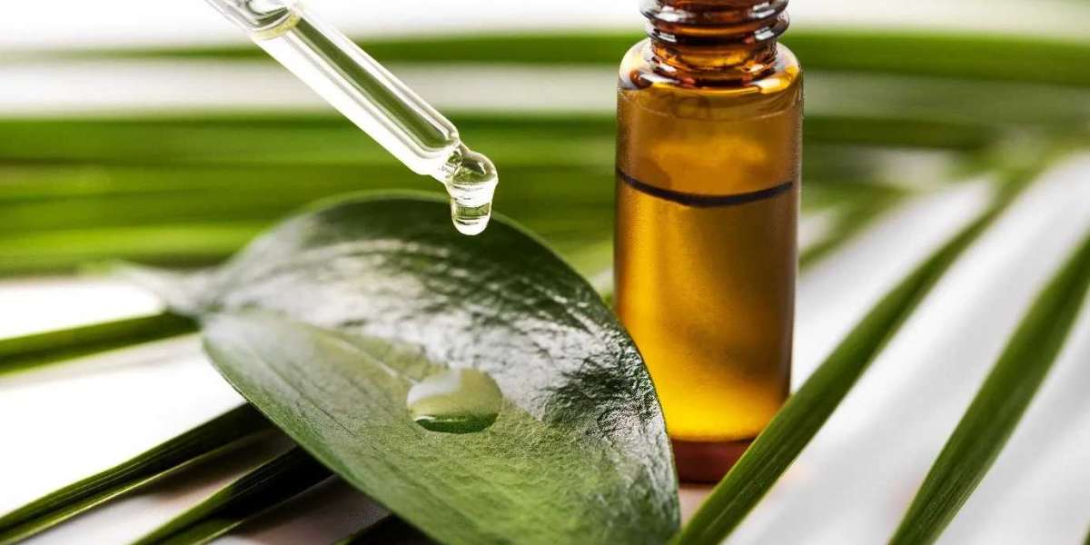 Tea Tree Oil: A Natural Remedy for Skin and Hair in Pakistan