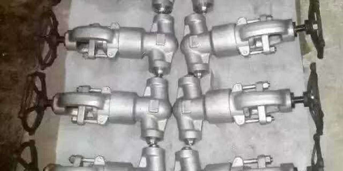 Bellow seal globe valve in UAE