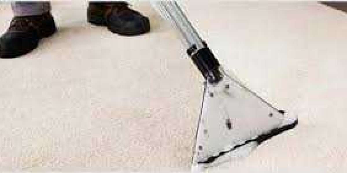 Why Every Home Should Rely on Professional Carpet Cleaning Services