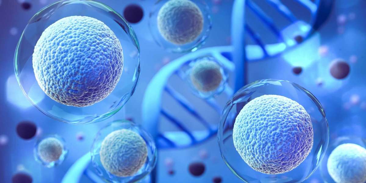 Autologous Cell Therapy Market 2023 Major Key Players and Industry Analysis Till 2032