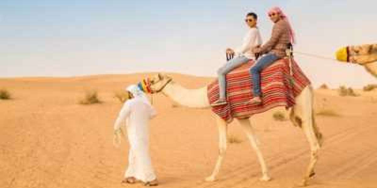 Explore the Best Desert Safari Abu Dhabi Adventures