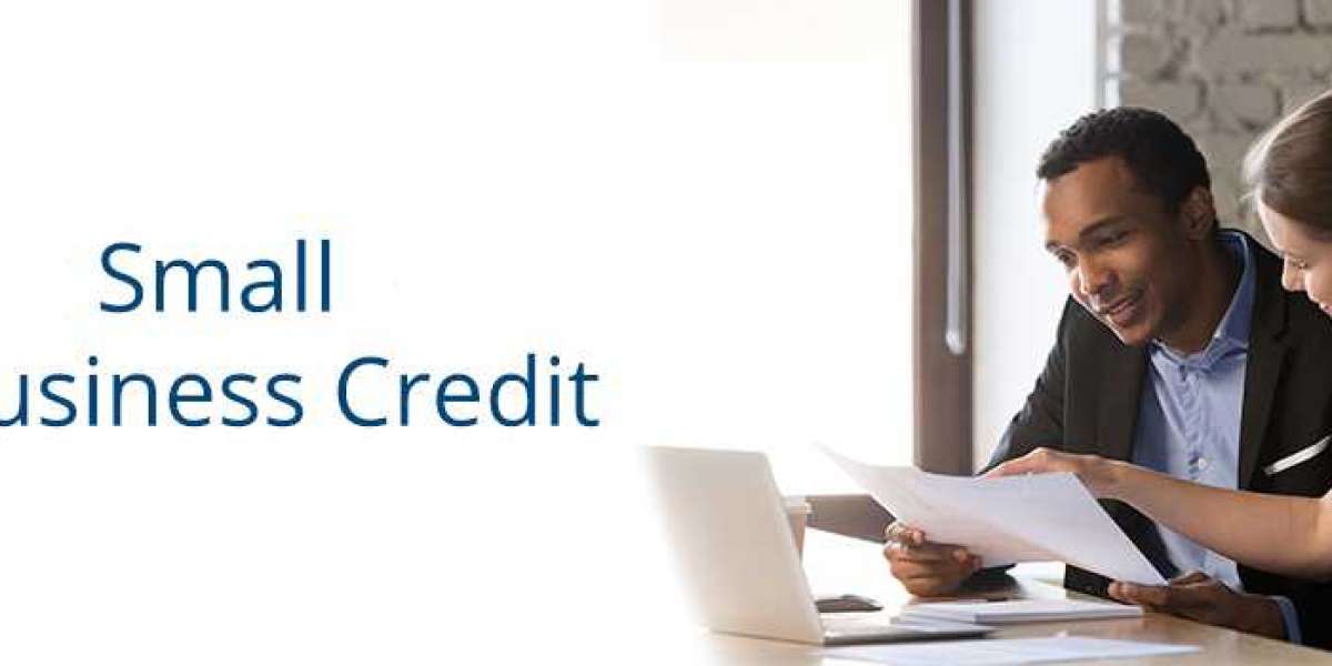 Small Business Credit