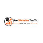 prowebsitetraffic