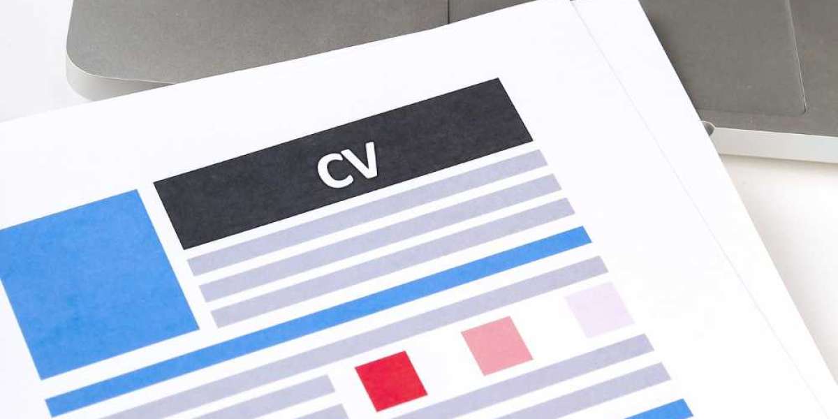 The Ultimate Guide to Building a Professional Resume in Minutes