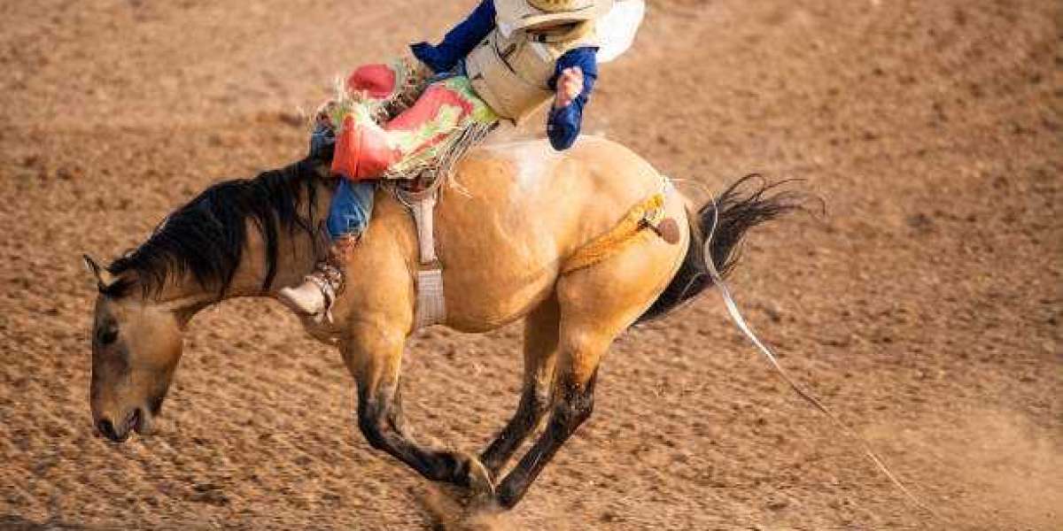 Protect Yourself with Toughest Mens Bull Riding Chaps Available