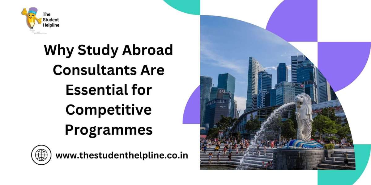 Why Study Abroad Consultants Are Essential for Competitive Programmes