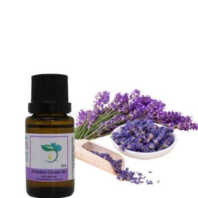 Lavender (Bulgarian) Essential Oil Profile Picture