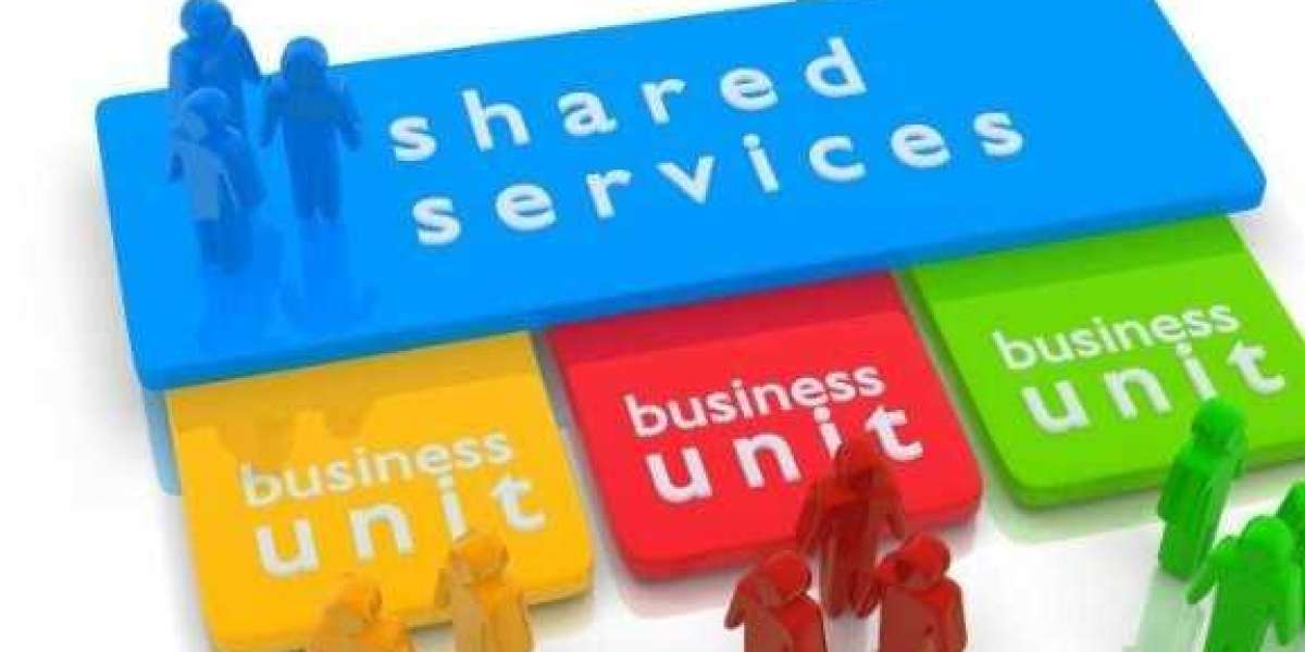 Shared Services Center Market Forecast: Size, Share, and Analysis 2024-2032