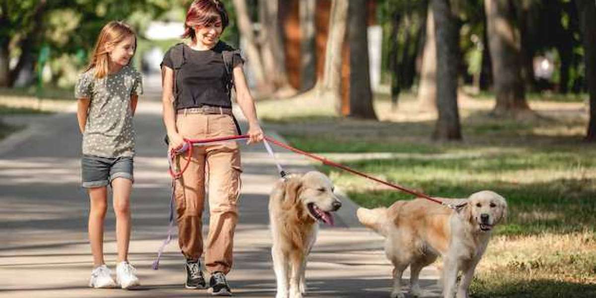 Best Dog Walkers in New Orleans: Ensuring Quality Care for Your Pets