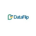 dataflip