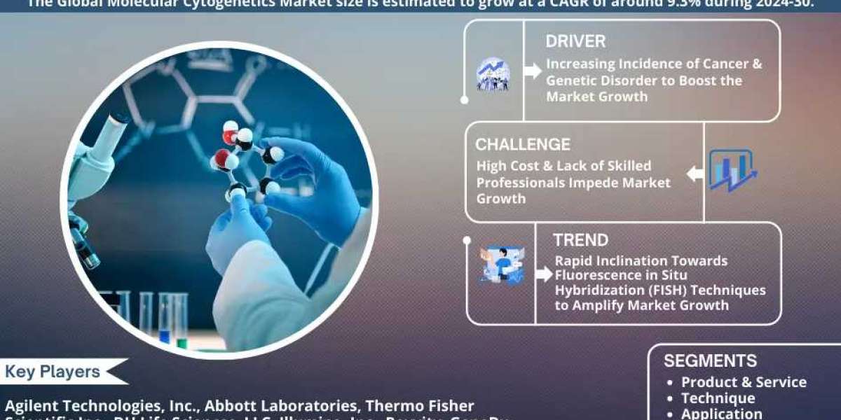 Molecular Cytogenetics Market Breakdown By Size, Share, Growth, Trends, and Industry Analysis