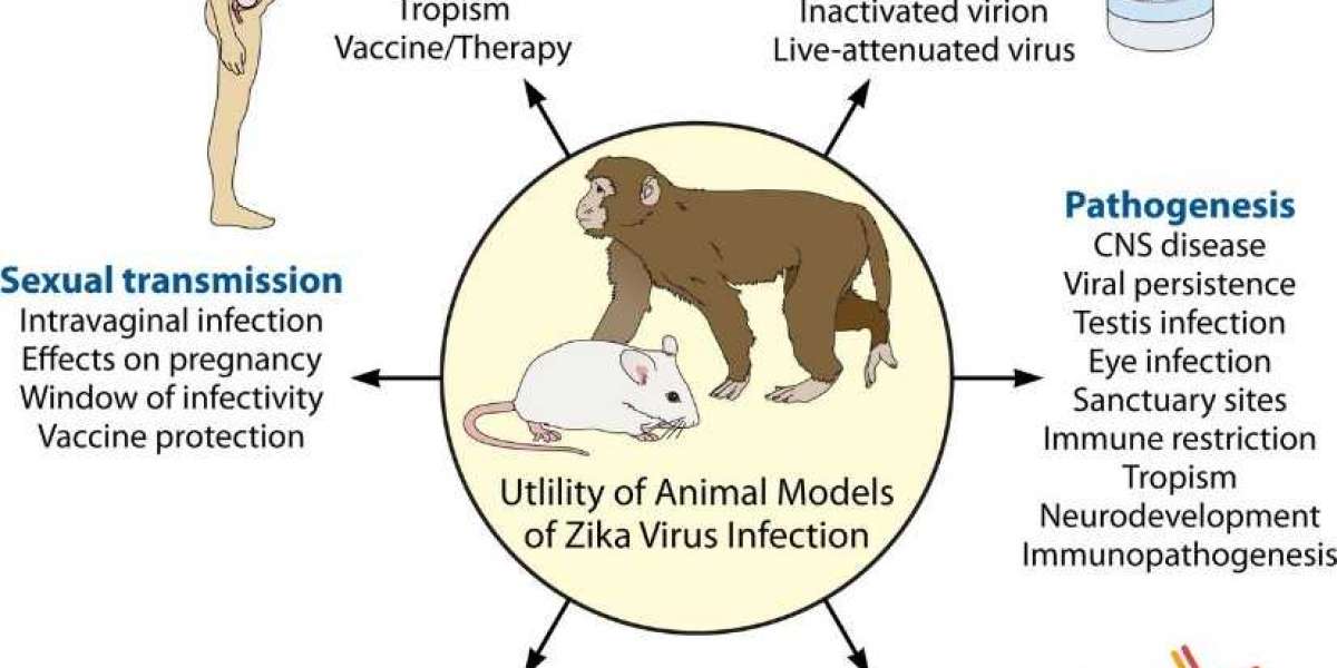 Novel Animal Models for Zika Virus Research