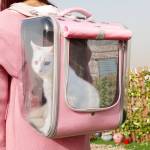 Travel Pet Carriers