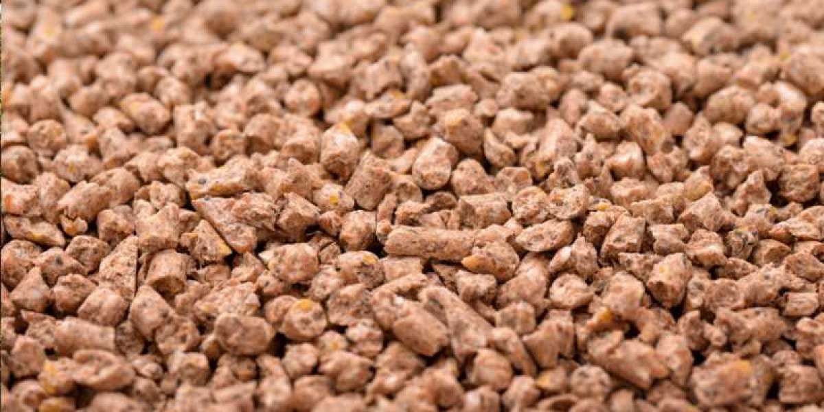 Australia Compound Feed Market: Growth, Trends, and Forecast (2024–2032)