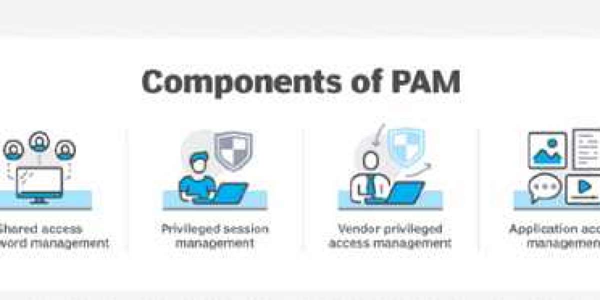 Privileged Access Management (PAM) Solutions Market Size, Share | Growth Report [2032]