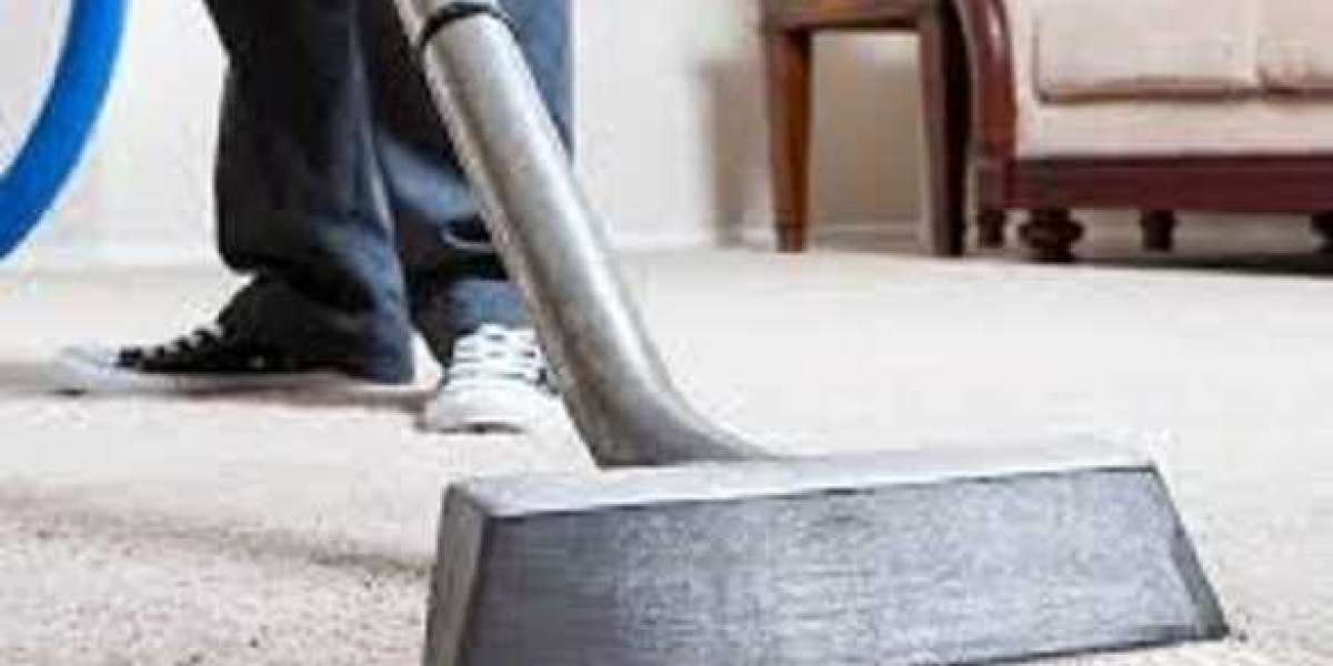 The Ultimate Guide to Home Comfort Through Professional Carpet Cleaning