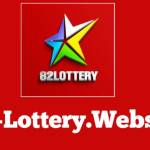 lottery website