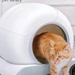 Cat Litter Box