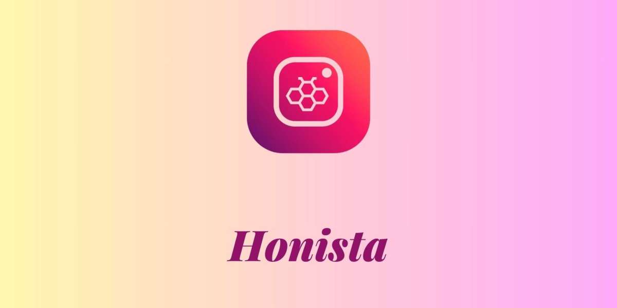 Honista Revolutionizing Your Instagram Experience