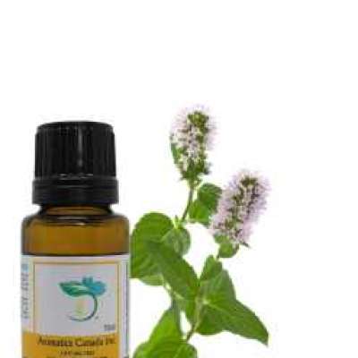 Spearmint Organic Essential Oil Profile Picture