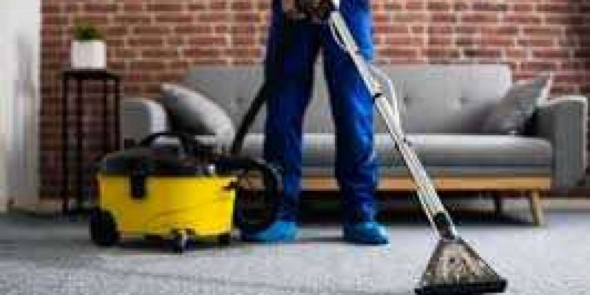 Professional Carpet Cleaning: Enhancing Home Comfort and Health