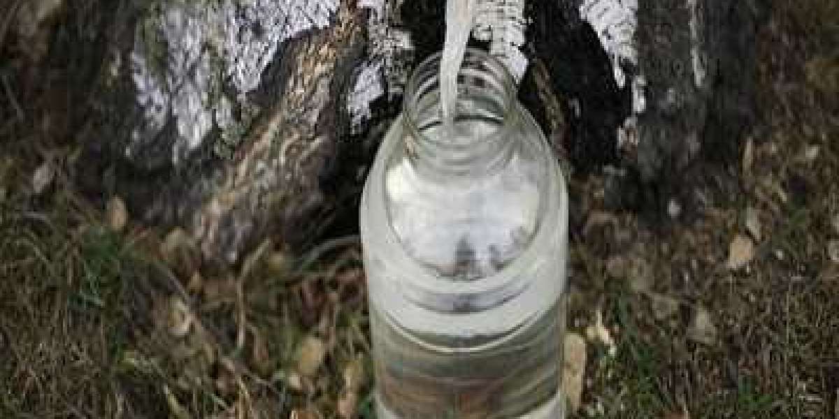 Birch Water Market Size, Industry Trends, Historical Data, Growth Analysis, Forecast to 2032