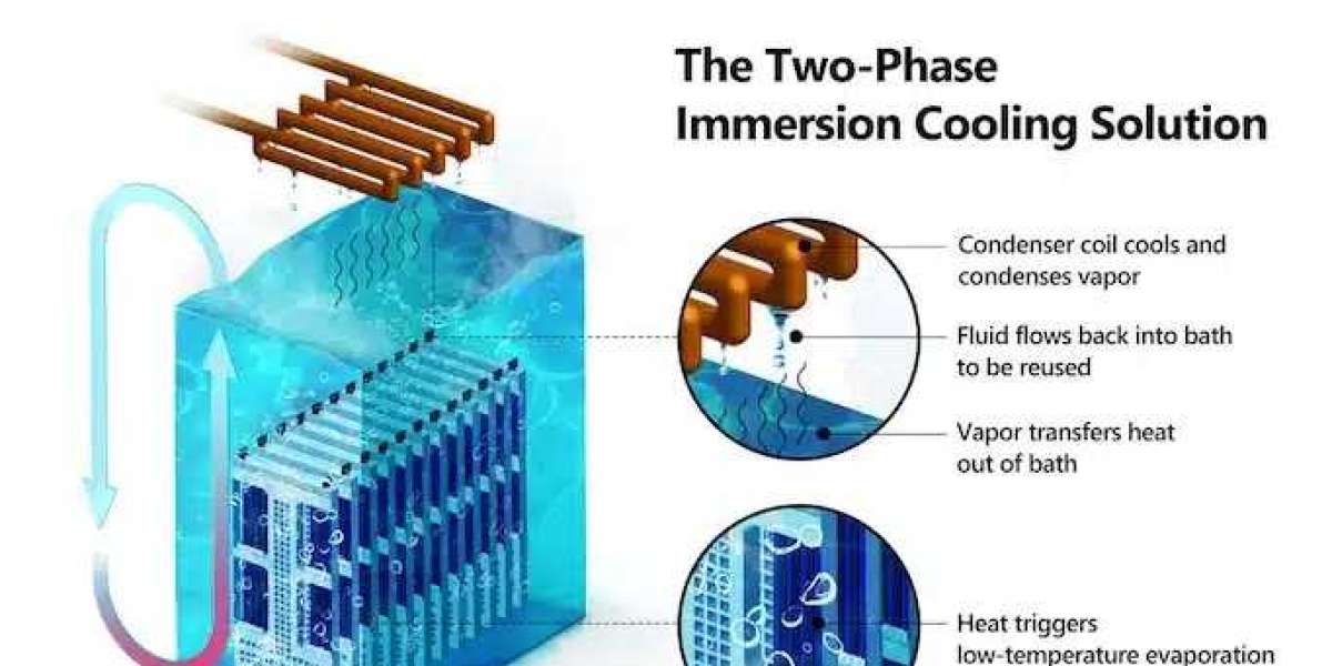 Immersion Cooling Technology: The Future of Thermal Management