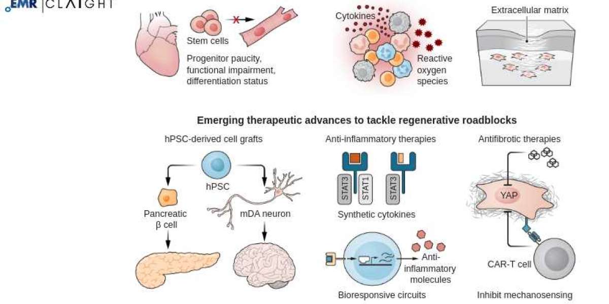 Regenerative Medicine Market Trends & Growth Forecast 2034