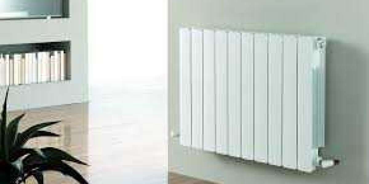 Hydronic Radiators Market Size & Growth Prospects (2024-2034)