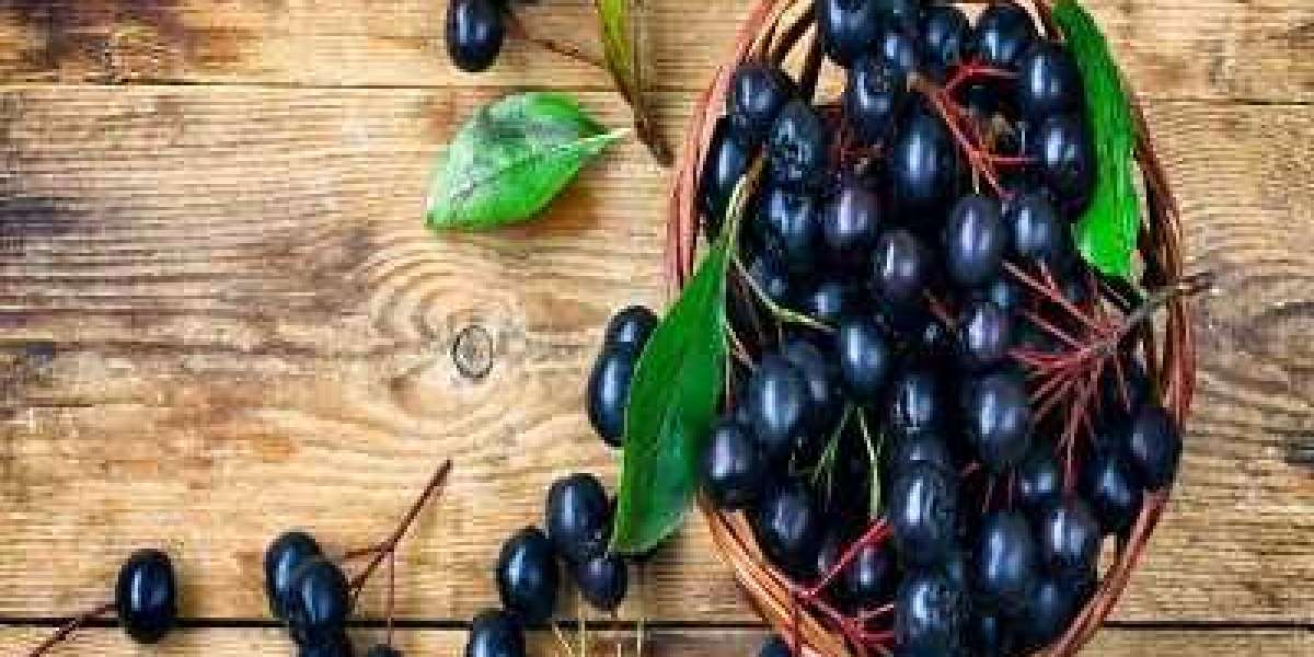 Aronia Berries Market Size, Industry Trends, Historical Data, Growth Analysis, Forecast to 2032