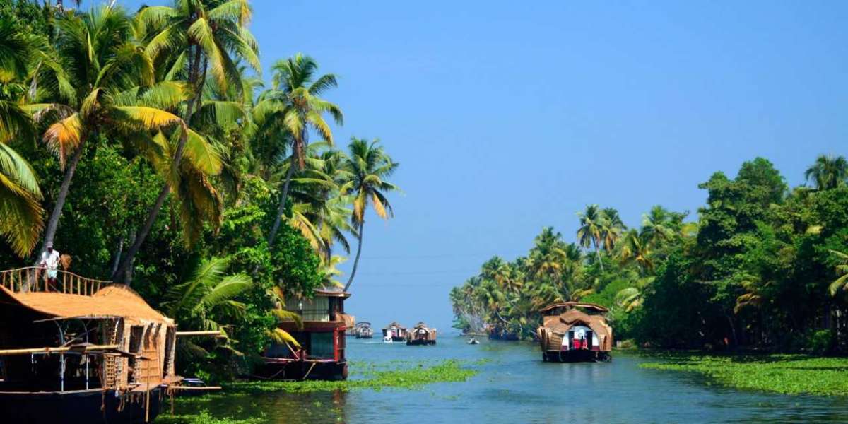 Explore the Best South India Tour Packages for Your Next Adventure